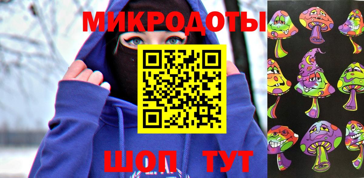 Галлюциногенные грибы Psilocybe Ахтубинск